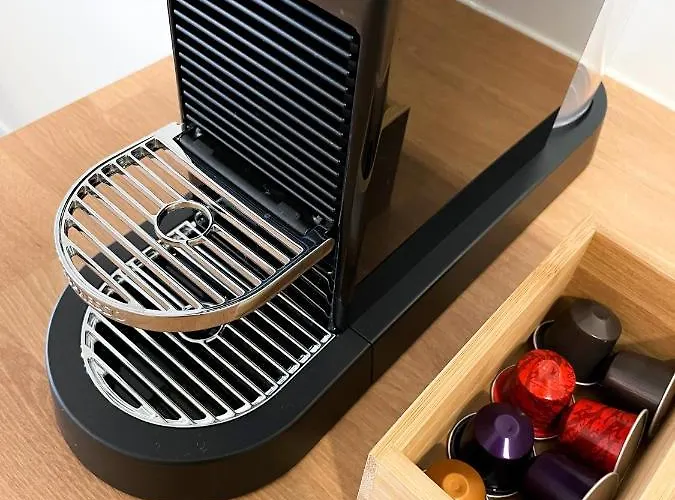 Paproć I Malina - 300 Metrów Do Centrum