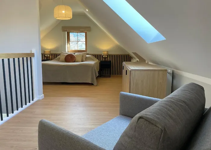 Paproć I Malina - 300 Metrów Do Centrum Apartamento *