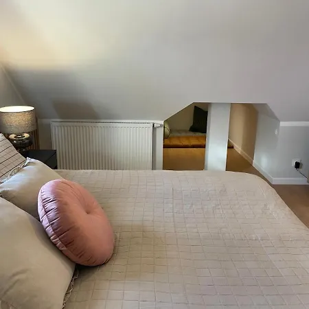 Paproć I Malina - 300 Metrów Do Centrum Apartamento