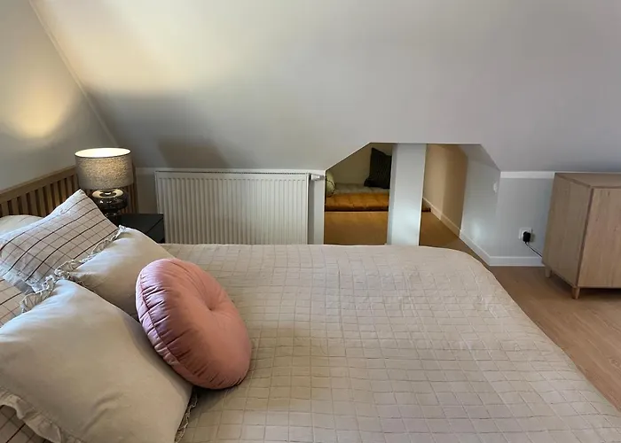 Paproc I Malina - 300 Metrow Do Centrum Apartment